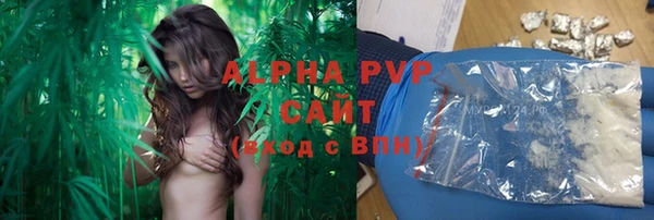 гашик Абинск
