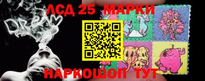 apvp Нальчик