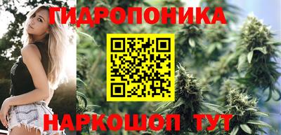 apvp Нальчик