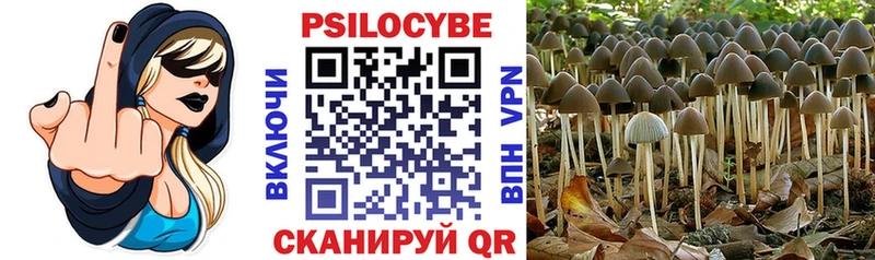 Галлюциногенные грибы MAGIC MUSHROOMS  Чита 