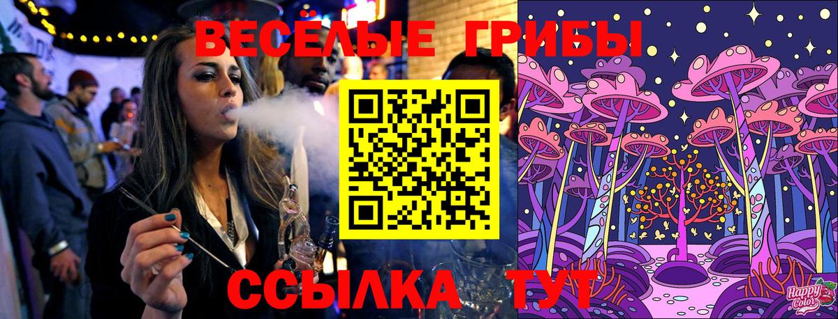 Чита  Псилоцибиновые грибы GOLDEN TEACHER  Вход с VPN 